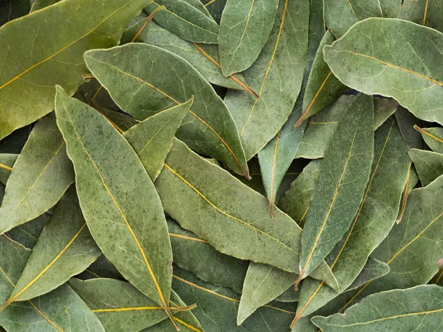 Egyptian dried herbs and spices
