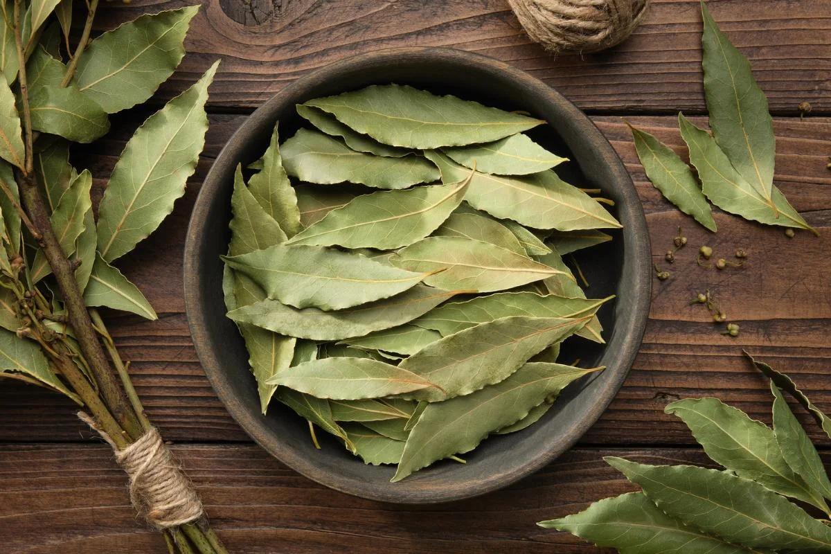 Bay Leaves thumbnail 2