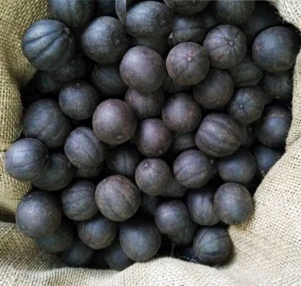 Black Dried Lemon thumbnail 2