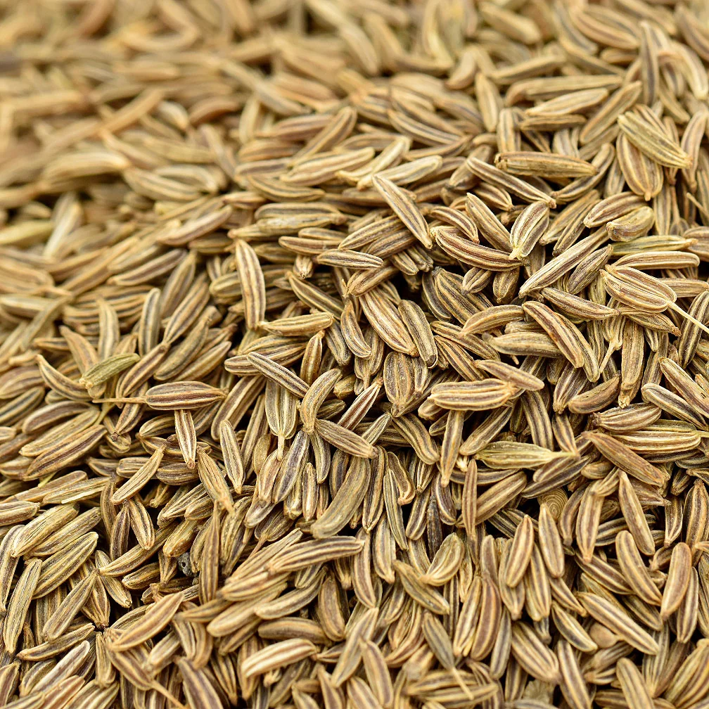 Caraway Seeds thumbnail 2