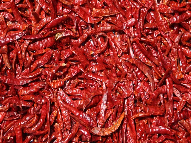 Bulk Chili from Egypt