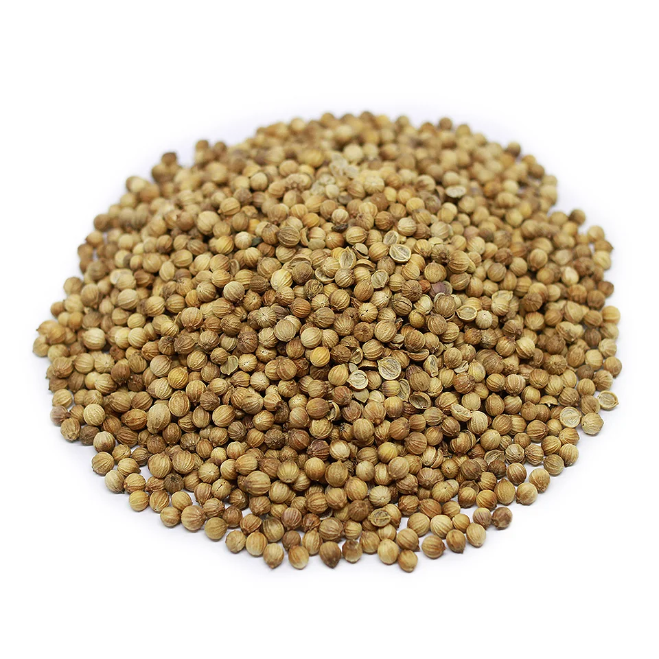 Bulk Coriander Seeds from Egypt