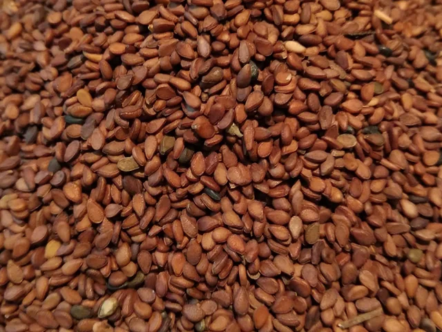 Sesame Seeds thumbnail 3