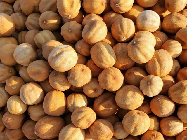 Bulk Yellow Dried Lemon from Egypt